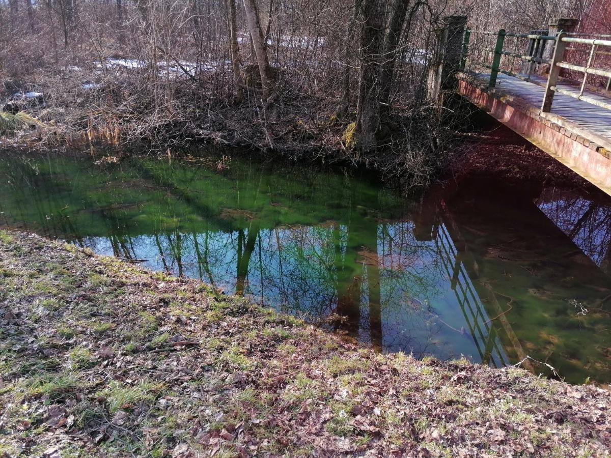 Ferienwohnung Resi Mit Traumhaftem Seepanorama Steindorf am Ossiacher See Extérieur photo