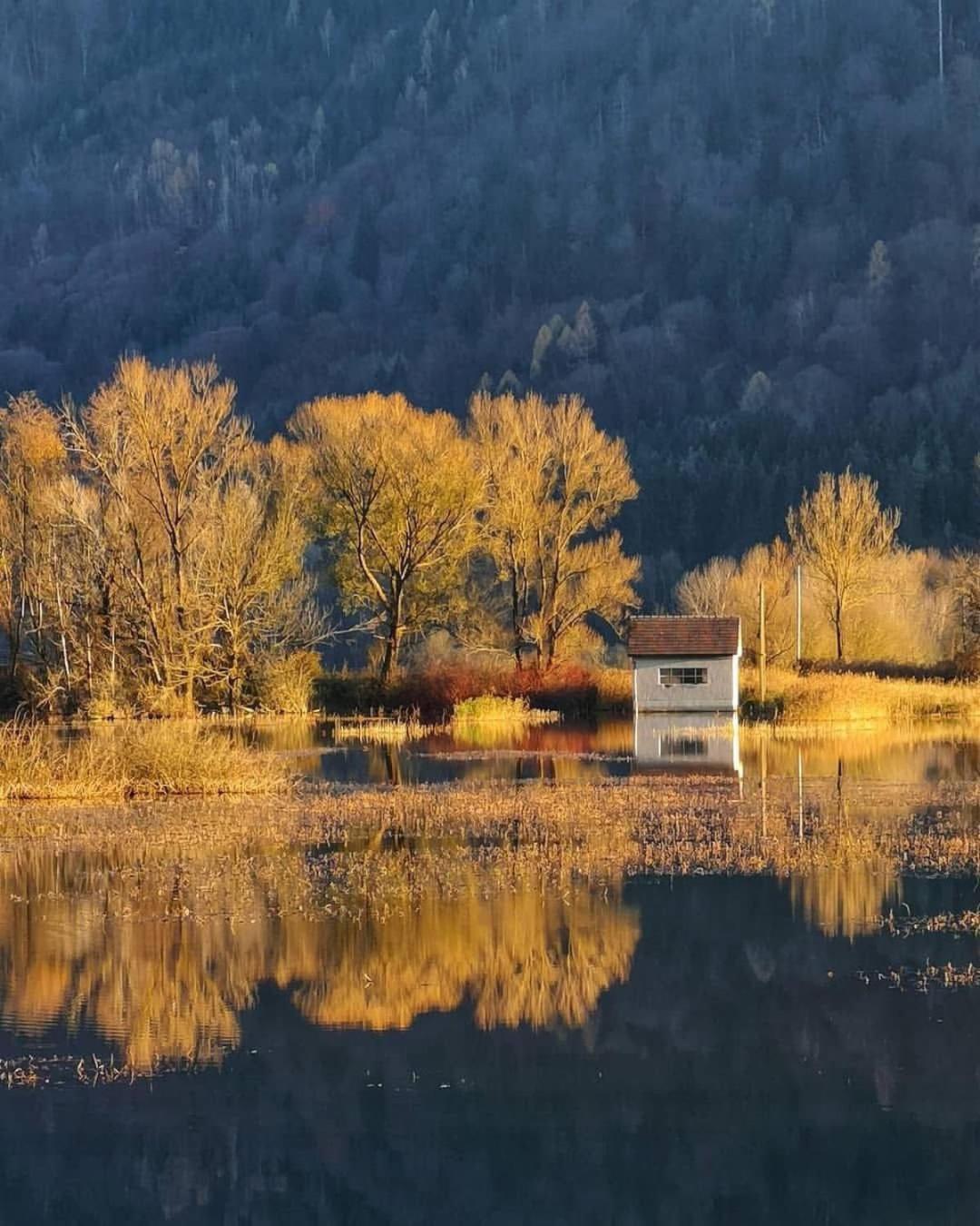 Ferienwohnung Resi Mit Traumhaftem Seepanorama Steindorf am Ossiacher See Extérieur photo