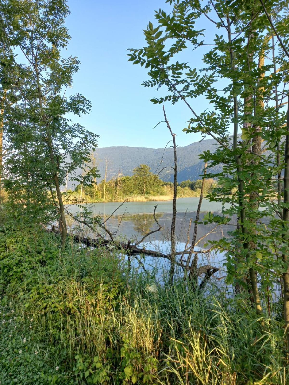 Ferienwohnung Resi Mit Traumhaftem Seepanorama Steindorf am Ossiacher See Extérieur photo