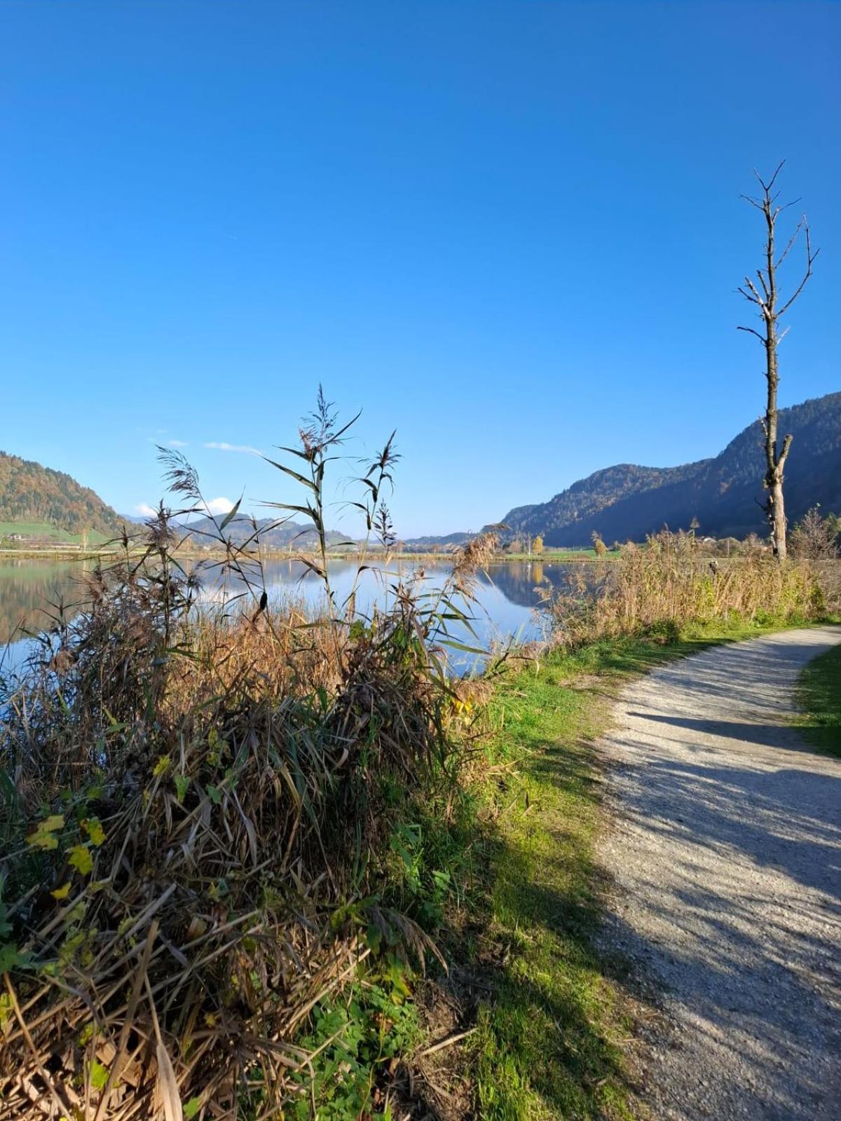 Ferienwohnung Resi Mit Traumhaftem Seepanorama Steindorf am Ossiacher See Extérieur photo
