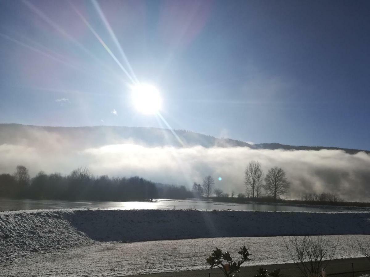Ferienwohnung Resi Mit Traumhaftem Seepanorama Steindorf am Ossiacher See Extérieur photo