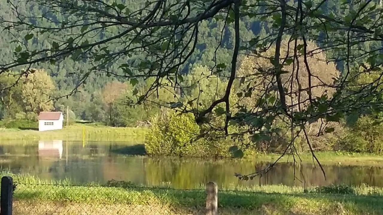 Ferienwohnung Resi Mit Traumhaftem Seepanorama Steindorf am Ossiacher See Extérieur photo