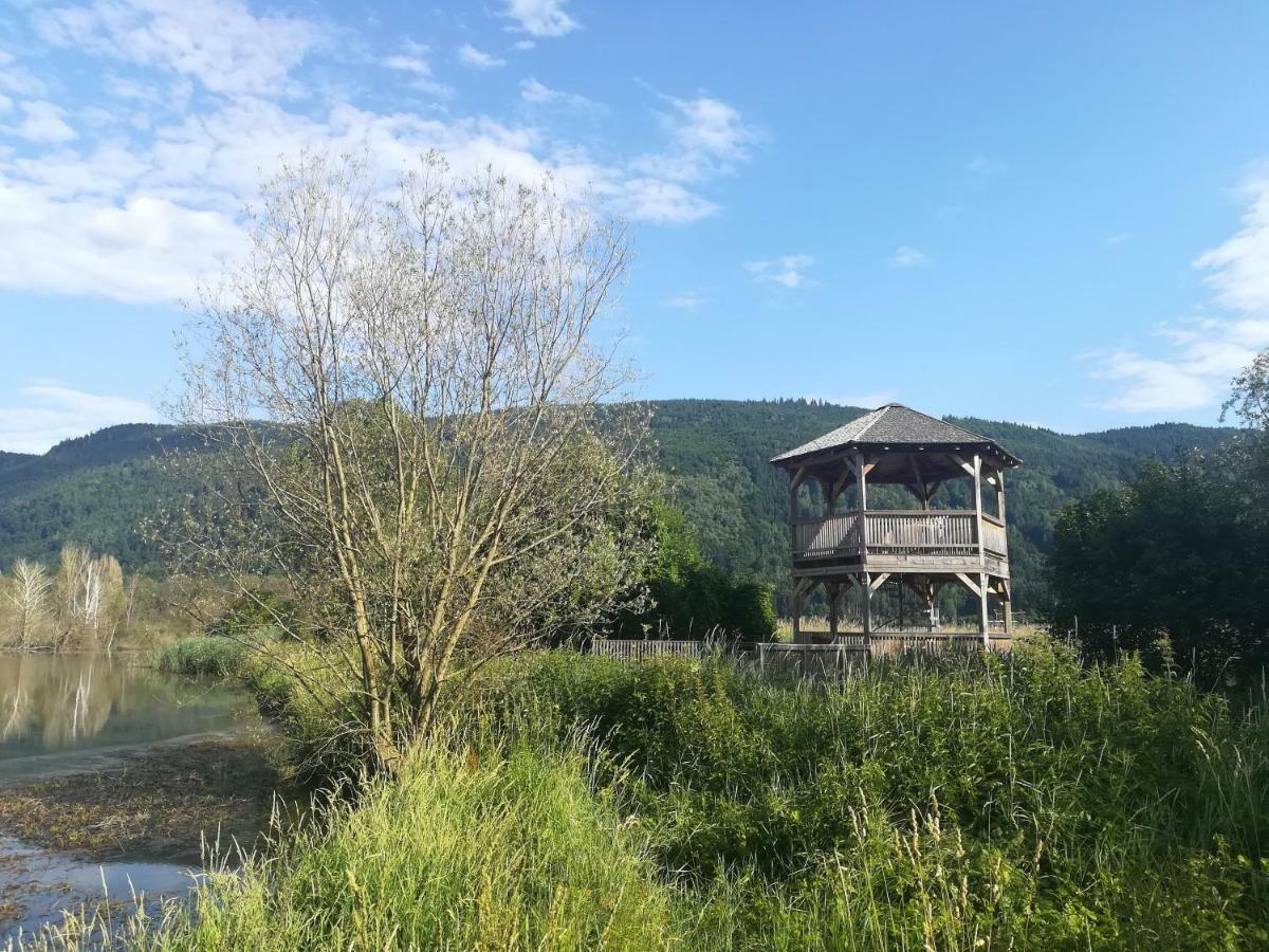 Ferienwohnung Resi Mit Traumhaftem Seepanorama Steindorf am Ossiacher See Extérieur photo