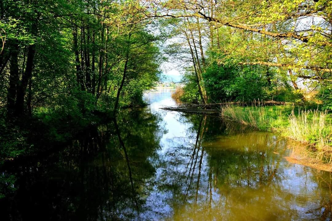 Ferienwohnung Resi Mit Traumhaftem Seepanorama Steindorf am Ossiacher See Extérieur photo